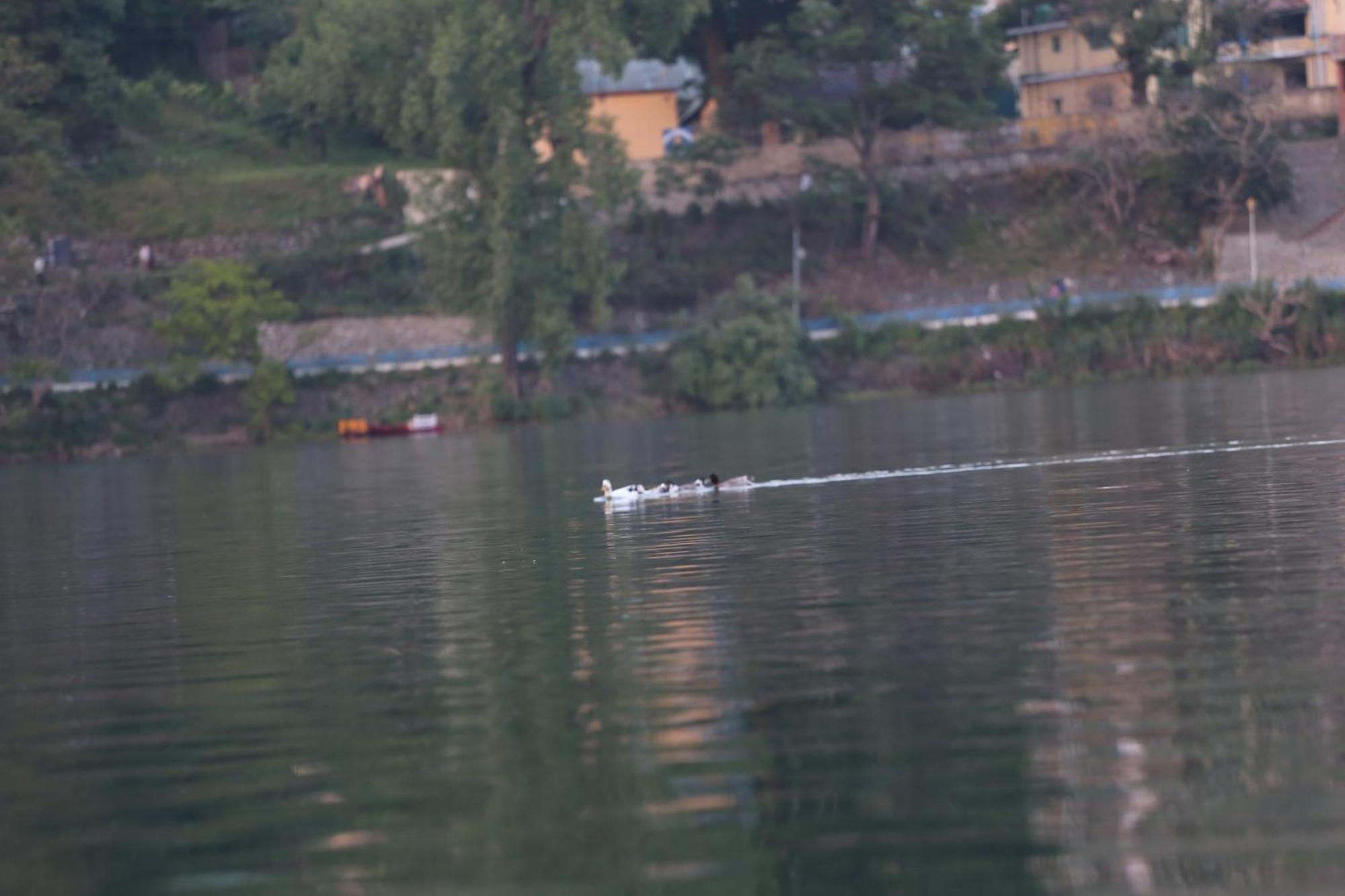 Royal Rosette Lake View Bhimtal Нейнитал Екстериор снимка